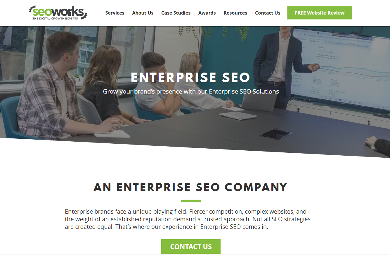 the seo works homepage