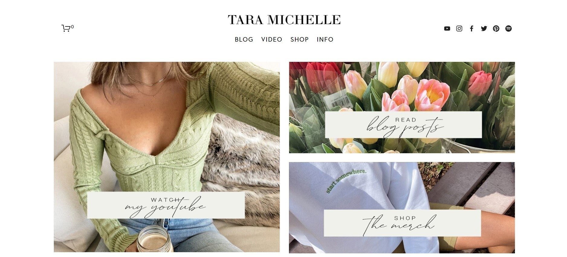 Tara Michelle home page