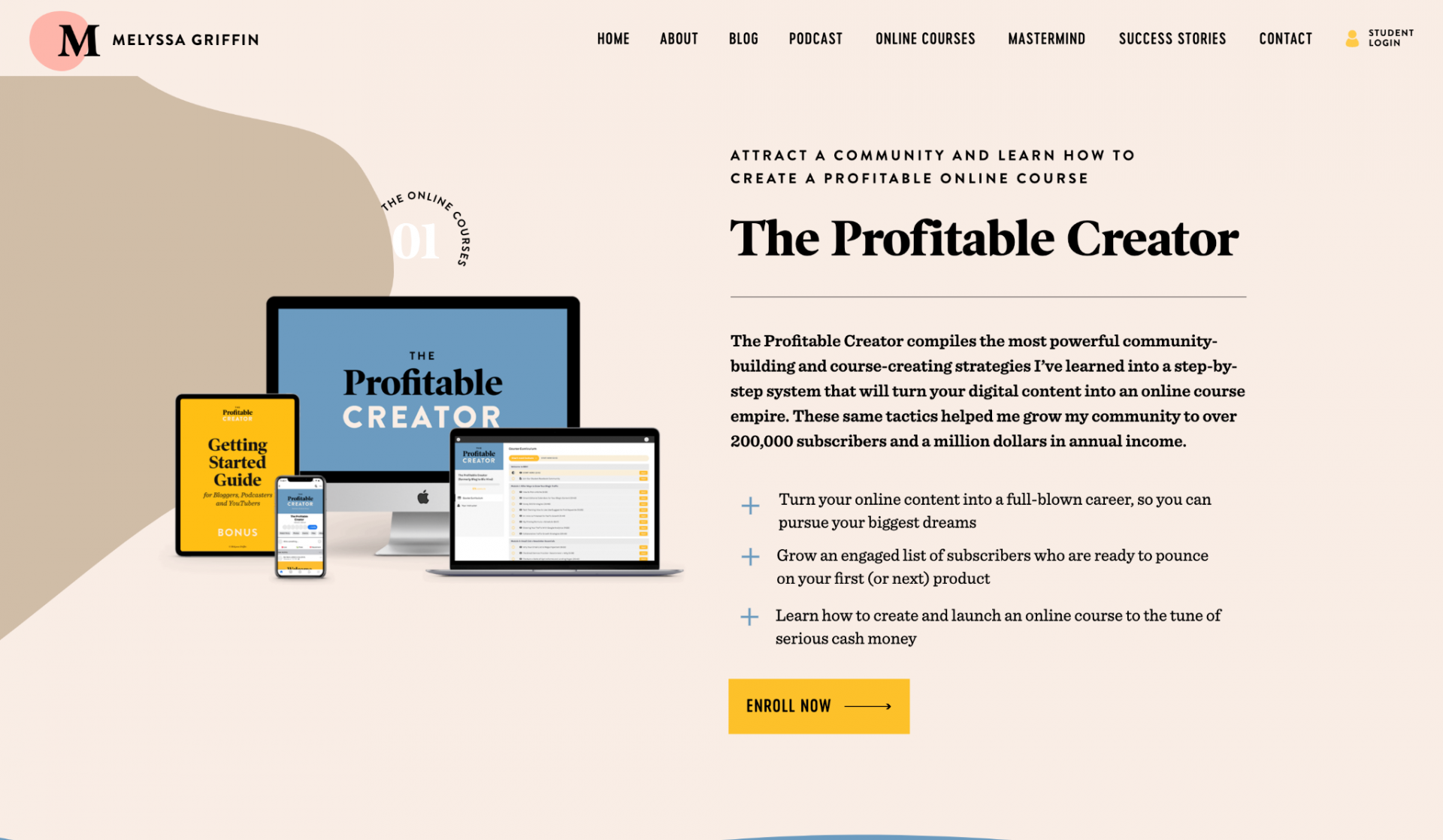 Melyssa Griffin online course