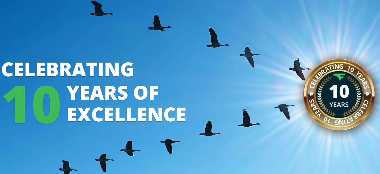 flying v group homepage