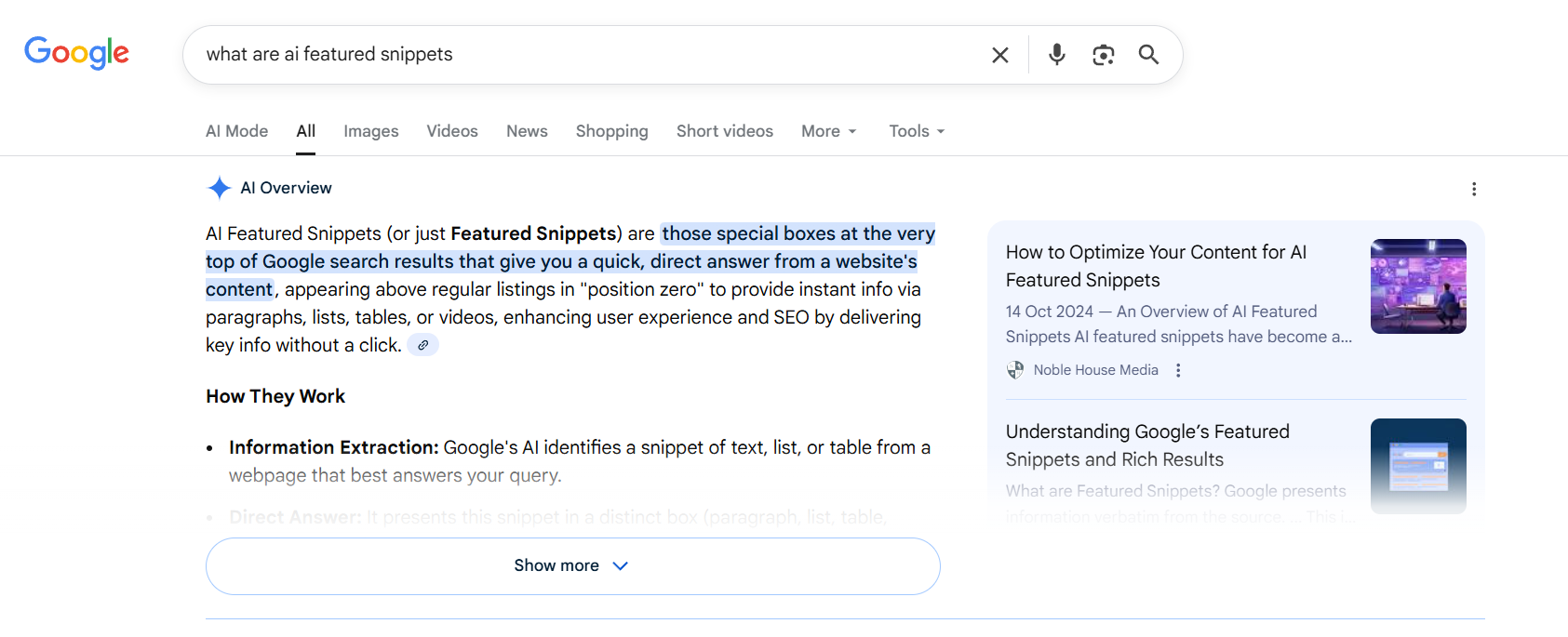 niformational google ai overview example