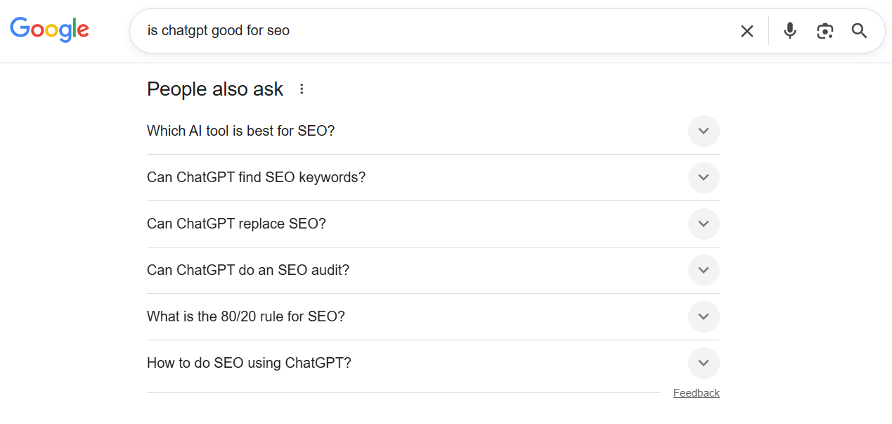 people also ask section in google