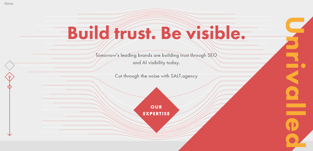 salt.agency homepage